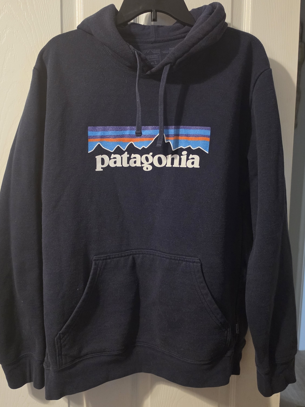 Patagonia Men's Navy Logo Hoodie